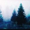 in_the_pines94
